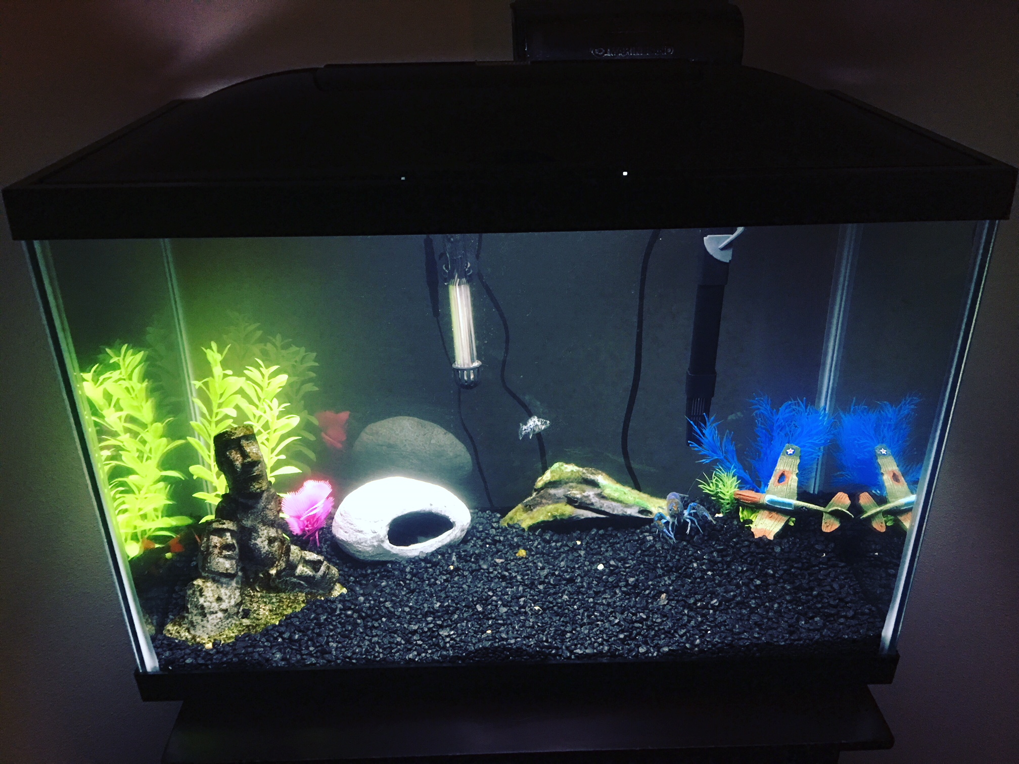 fish tank set