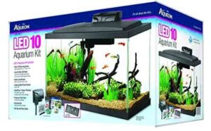 Best 10-Gallon Fish Tanks Available - Top 6 of 2021