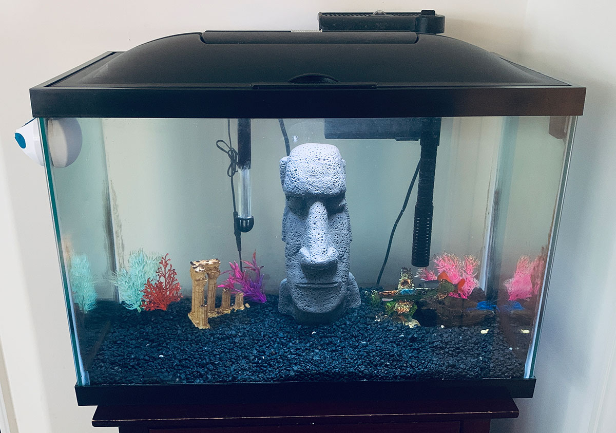10 gallon fish tank with filter