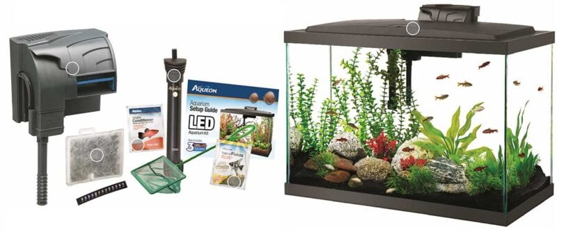 Cheap Fish Tanks: The Best & Most Affordable Fish Tanks Around